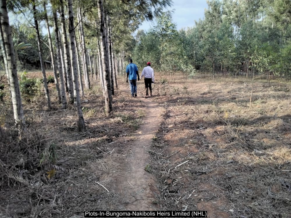 Land for sale in Bungoma