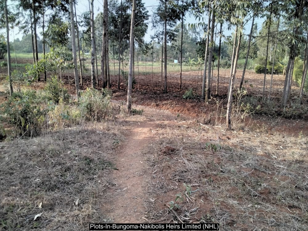Land for sale in Bungoma