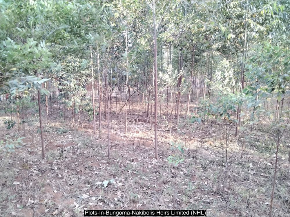 Land for sale in Bungoma