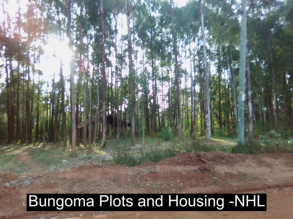 Land for sale in Bungoma