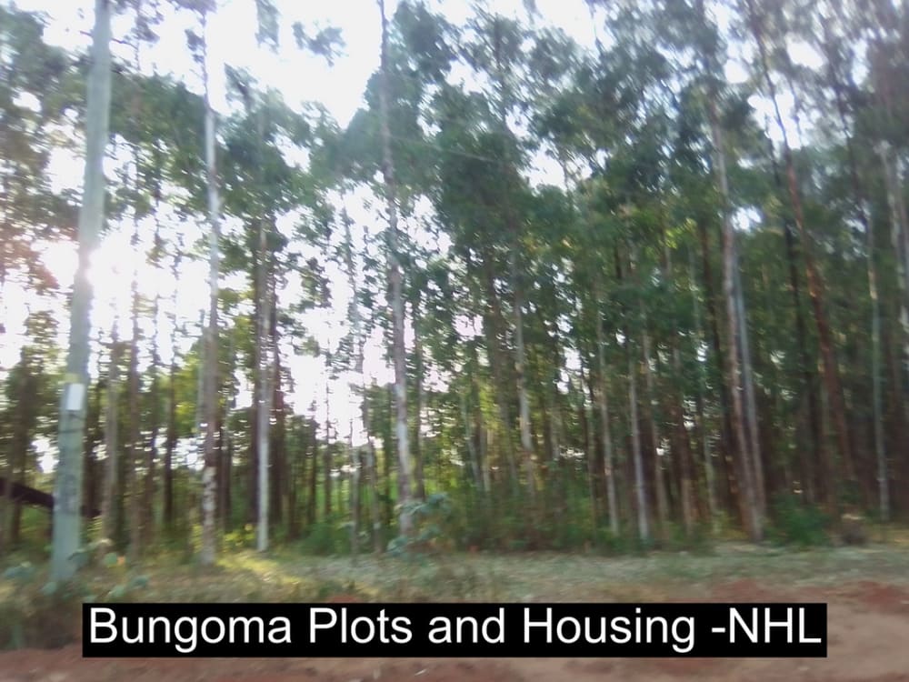 Land for sale in Bungoma