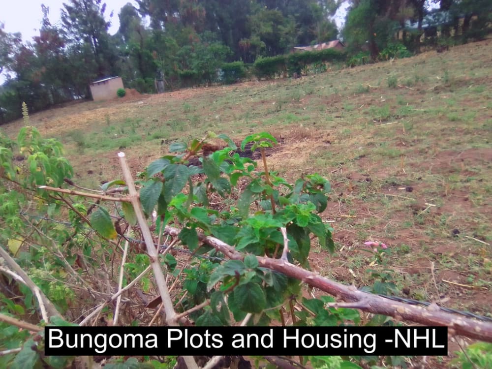 Land for sale in Bungoma