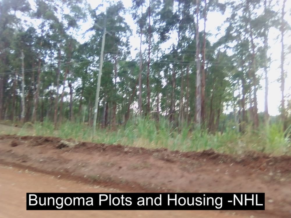 Land for sale in Bungoma