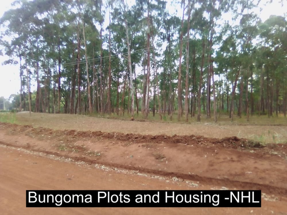 Land for sale in Bungoma
