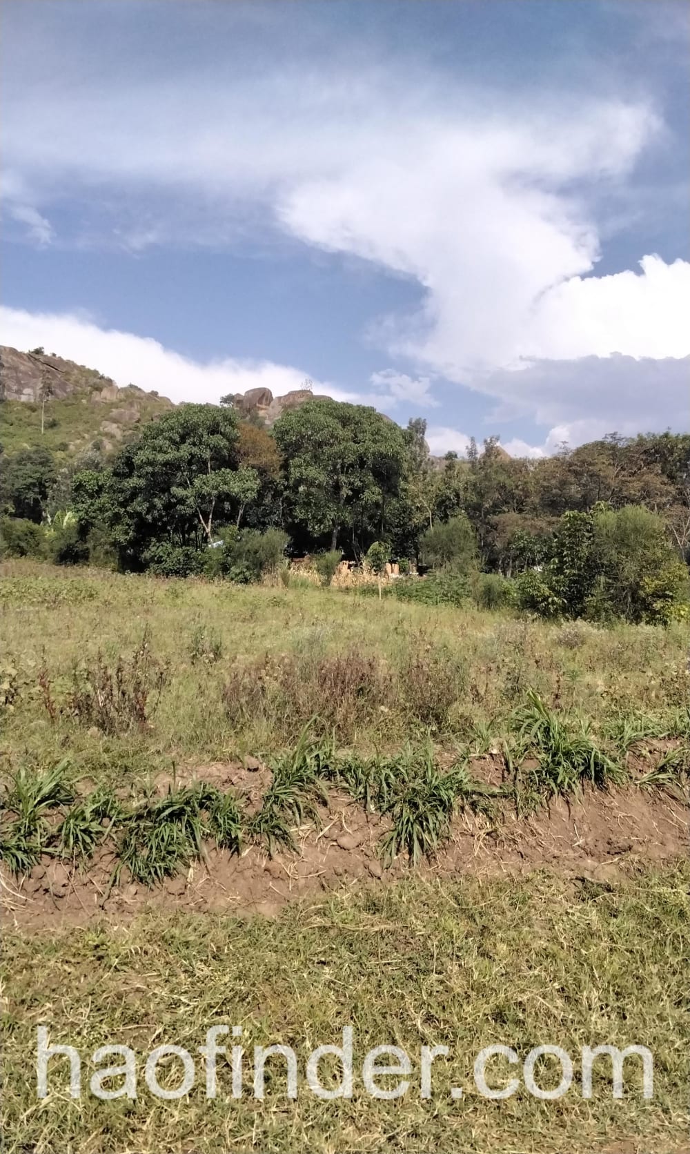 Land for sale in Bungoma