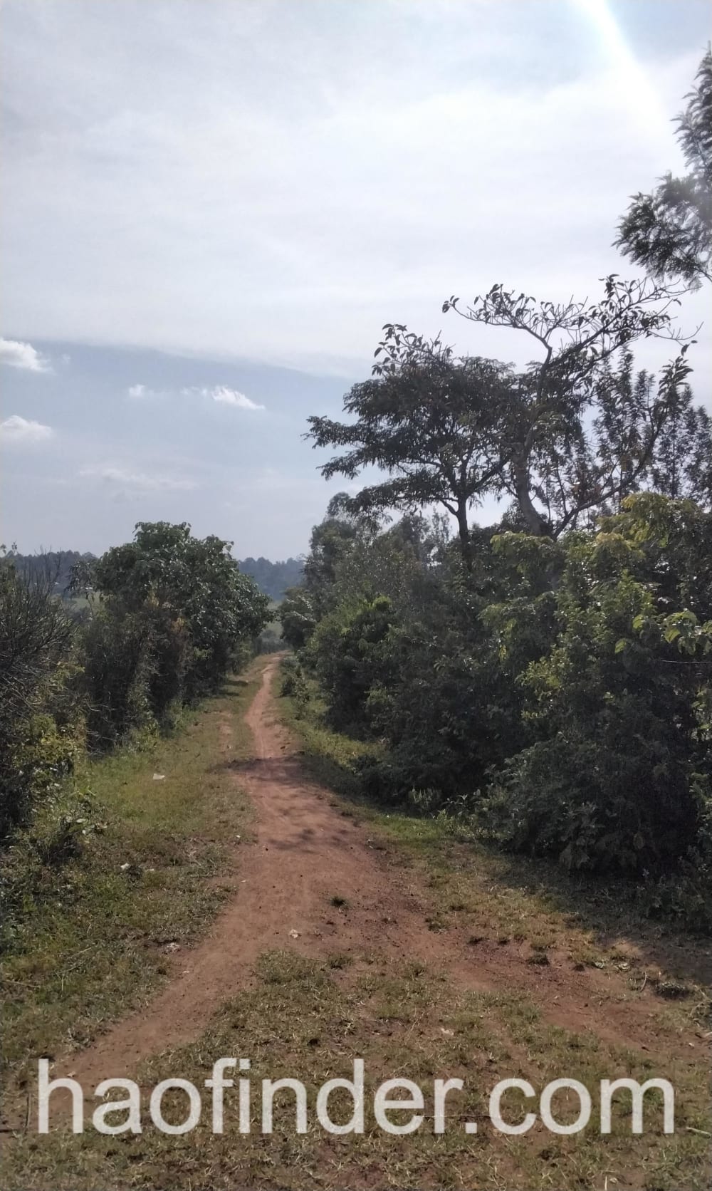 Land for sale in Bungoma