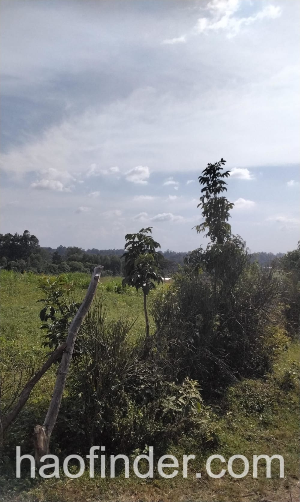 Land for sale in Bungoma