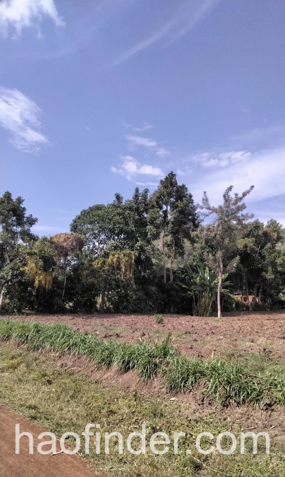 Land for sale in Bungoma