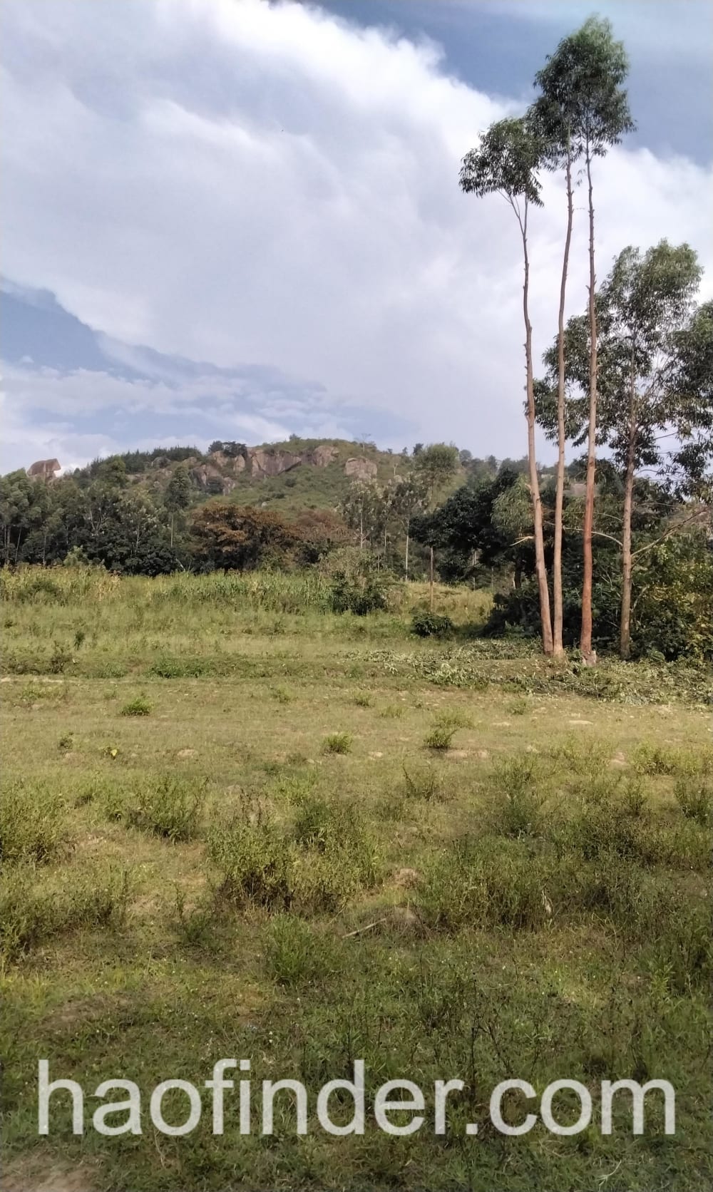 land_plot for sale in Kakamega