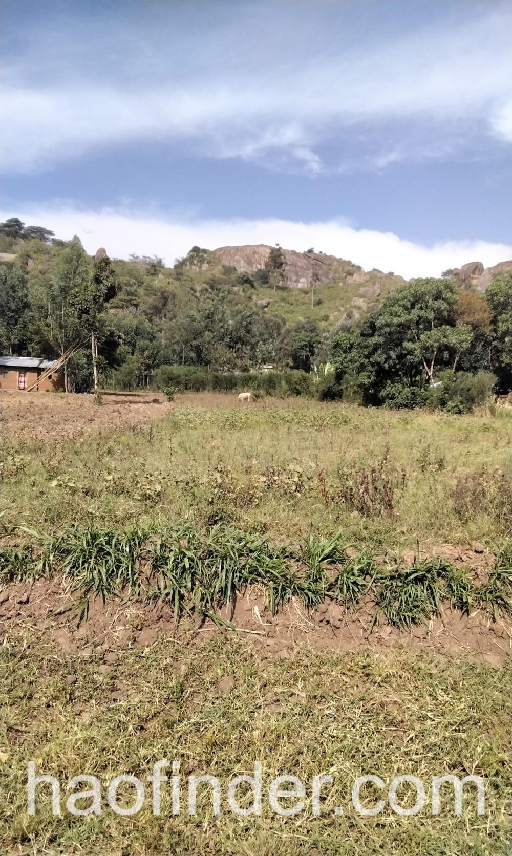 Land for sale in Bungoma