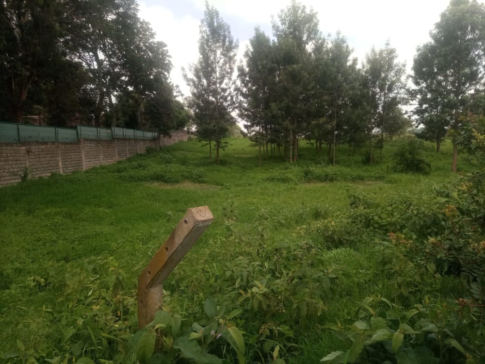 Land for sale in Nyari