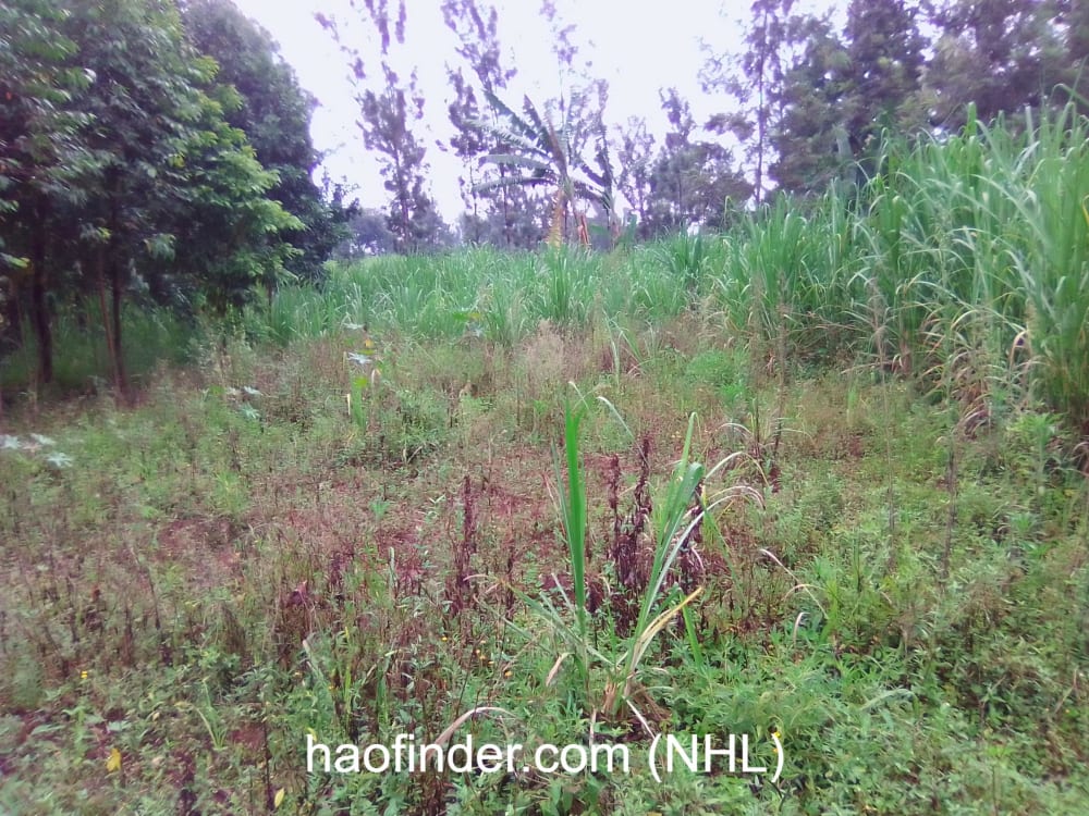 Land for sale in Bungoma Ndengelwa