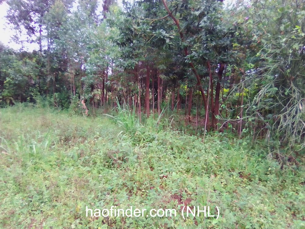 Land for sale in Bungoma Ndengelwa