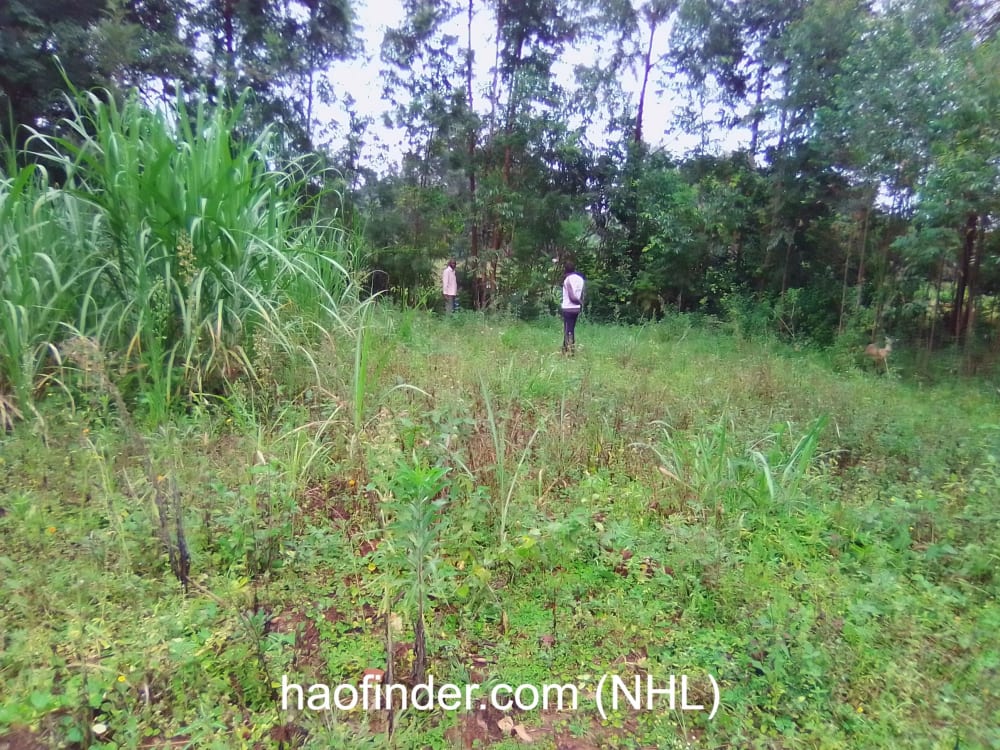 Land for sale in Bungoma Ndengelwa