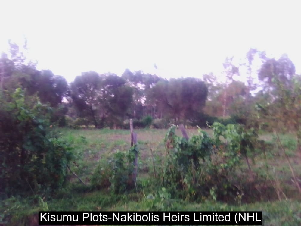 Land for sale in Kisumu