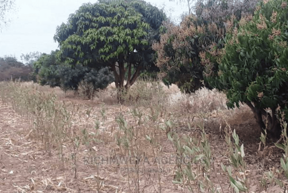 Land for sale in  Juja Farm