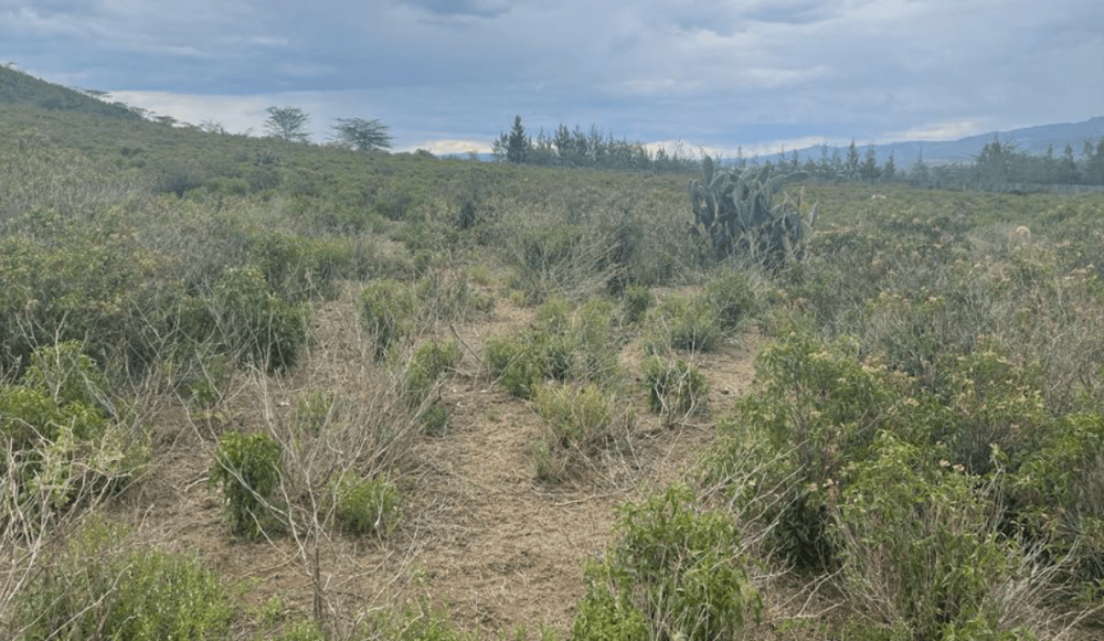 Land for sale in Elementaita, Kikopey Gilgil