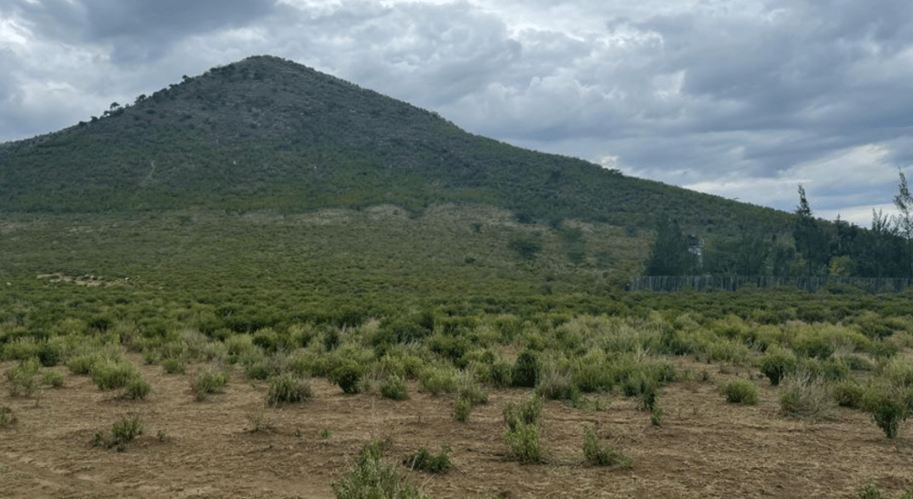 Land for sale in Elementaita, Kikopey Gilgil