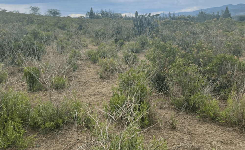 Land for sale in Elementaita, Kikopey Gilgil