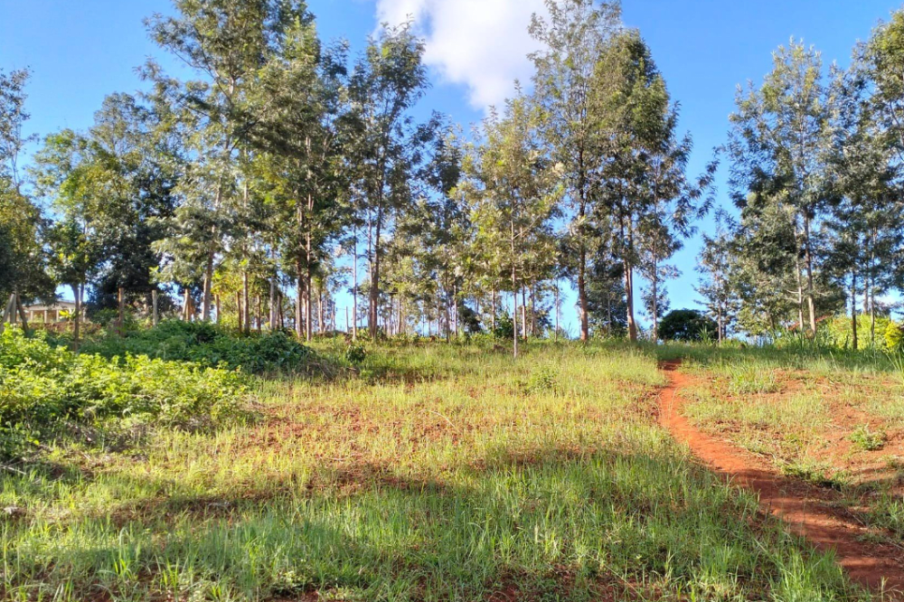 Land for sale in Tetu Gathaithi, Nyeri