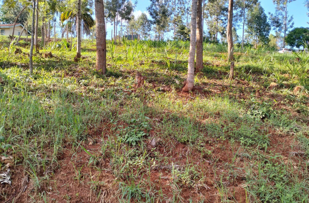 Land for sale in Tetu Gathaithi, Nyeri