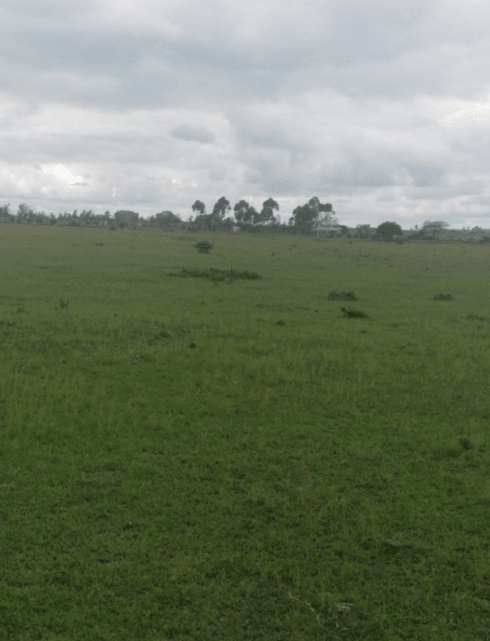 Land for sale in Ongata Rongai 