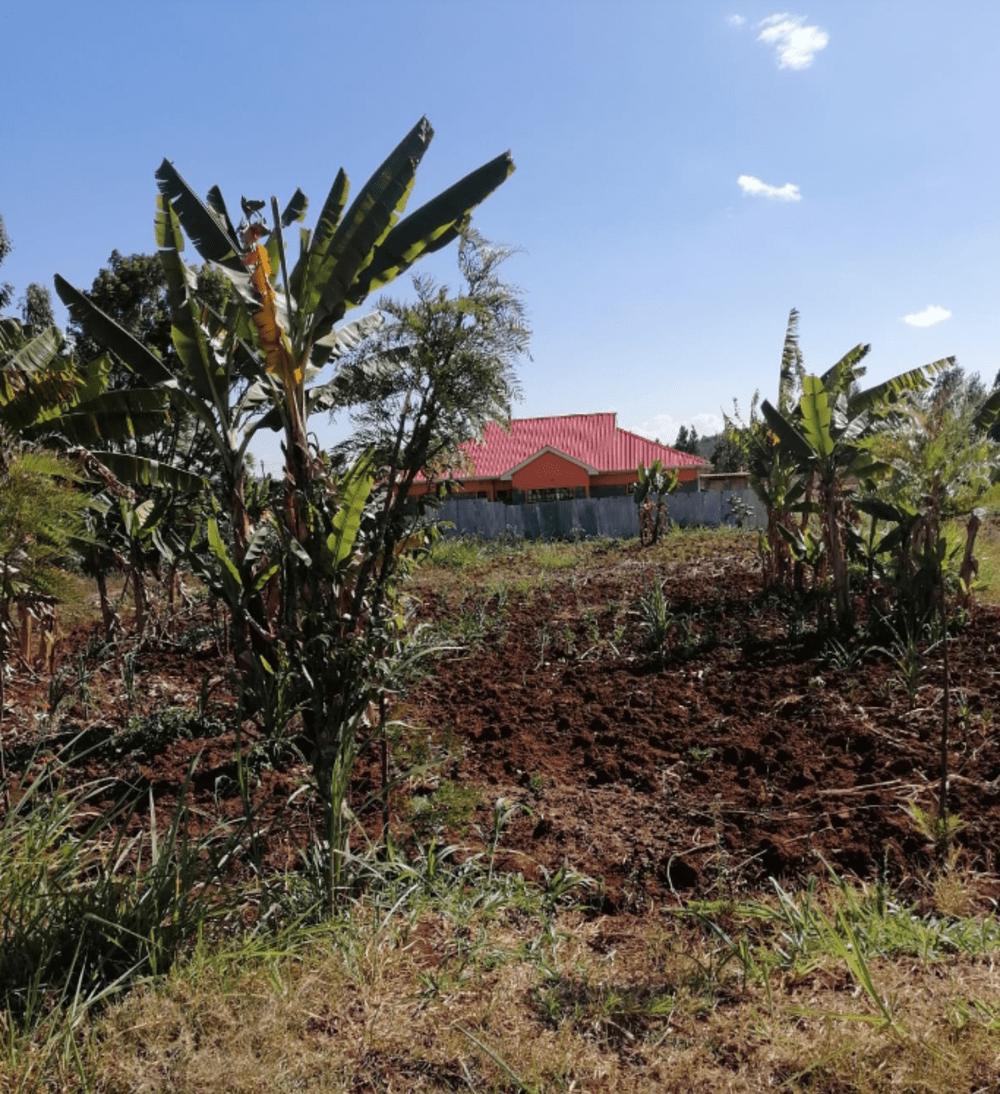 Land for sale in Kikuyu