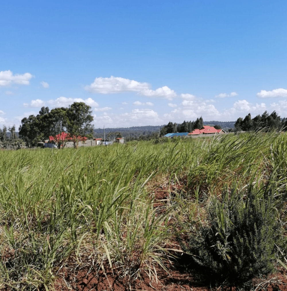 Land for sale in Kikuyu