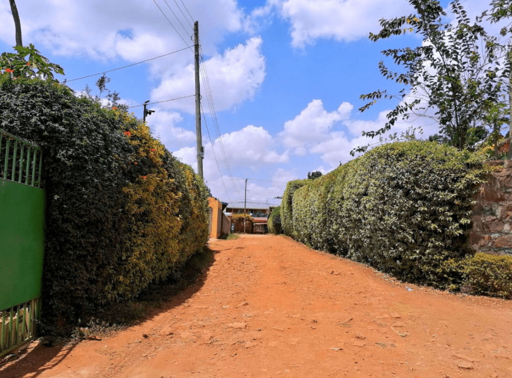 Land for sale in Ruaka