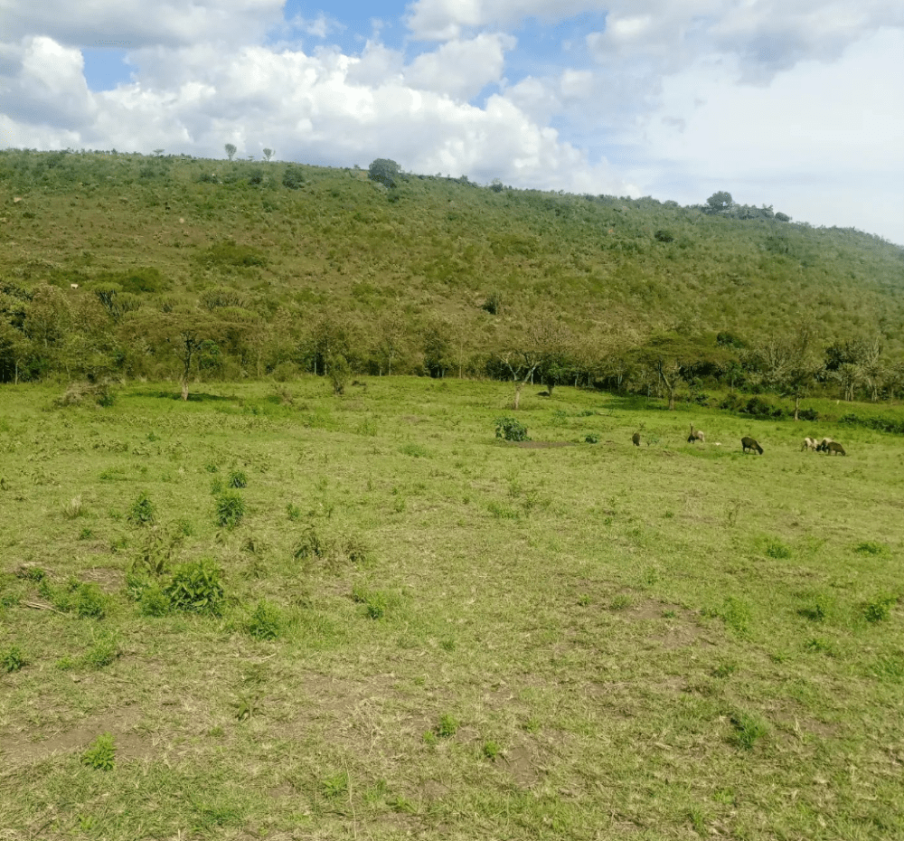 Land for sale in Gilgil