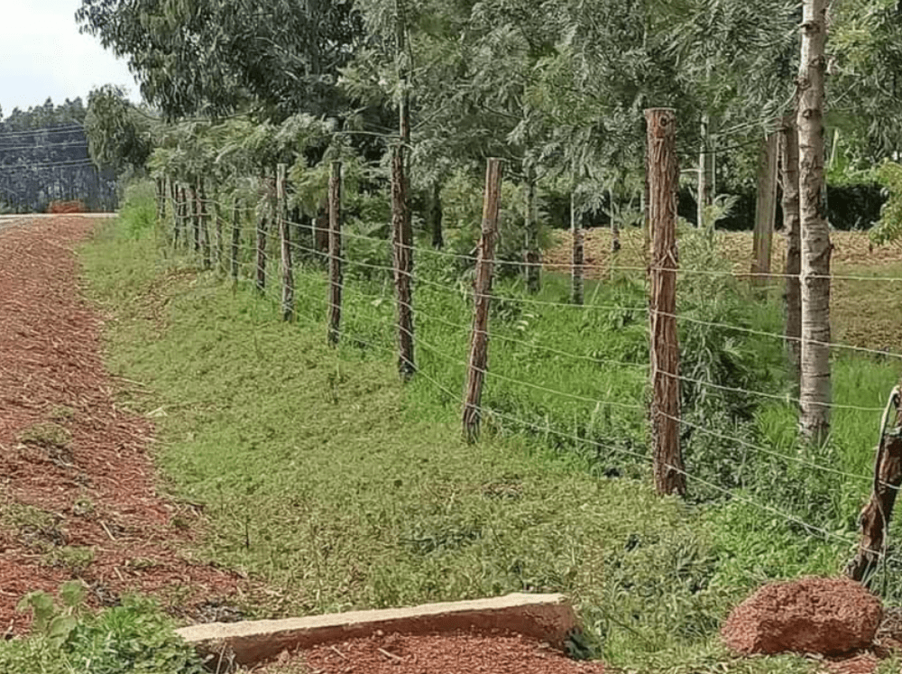 Land for sale in Webuye
