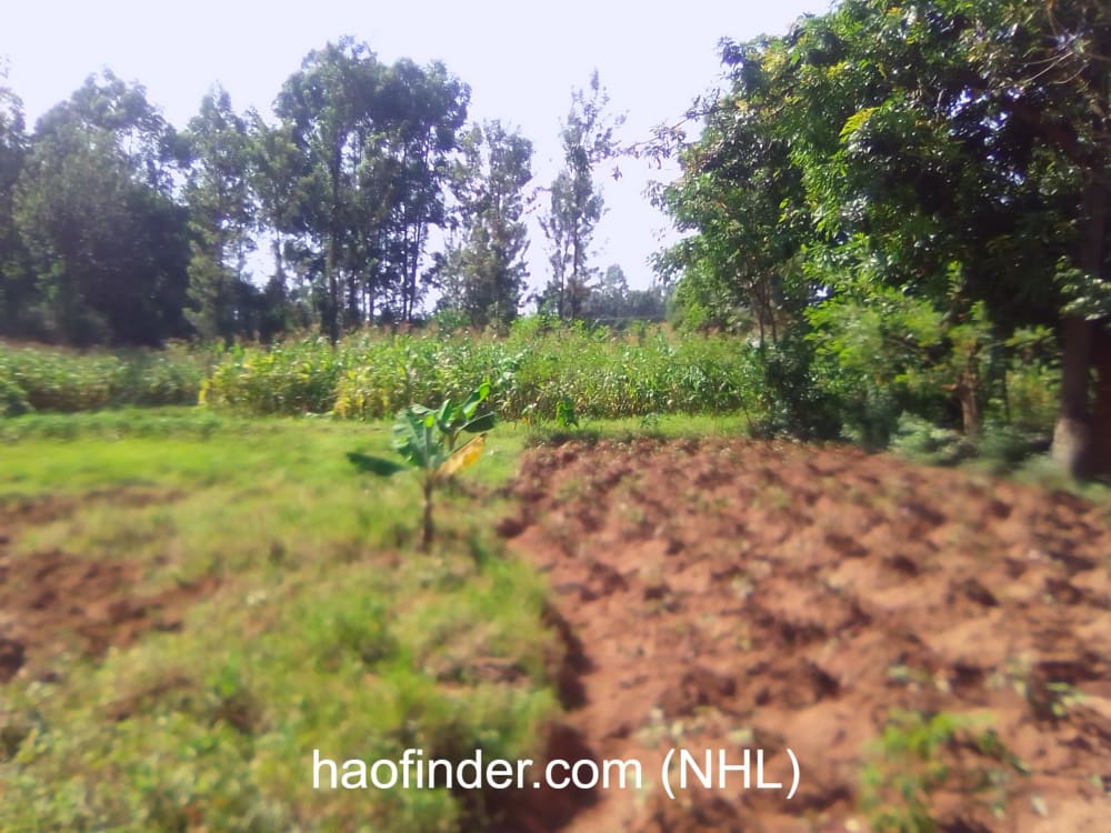 Land for sale in Bungoma Muyayi
