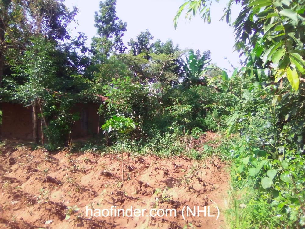 Land for sale in Bungoma Muyayi