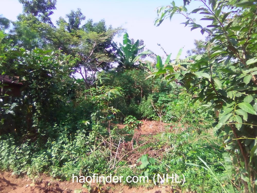 Land for sale in Bungoma Muyayi
