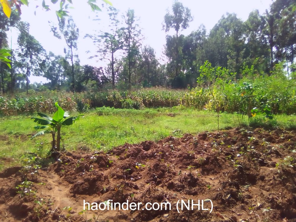 Land for sale in Bungoma Muyayi