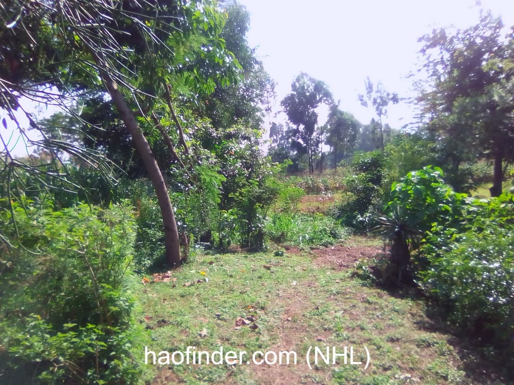 Land for sale in Bungoma Muyayi