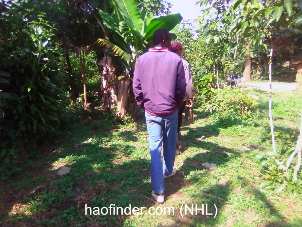 Land for sale in Bungoma Muyayi