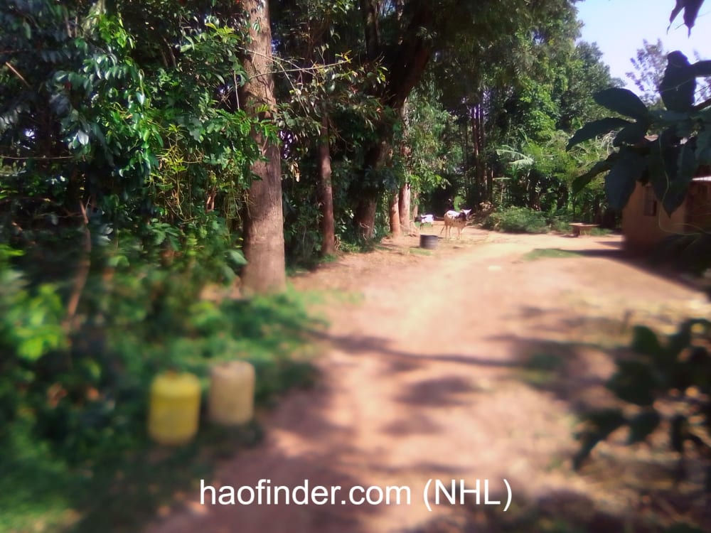 Land for sale in Bungoma Muyayi