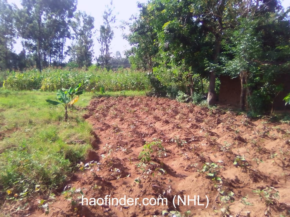 Land for sale in Bungoma Muyayi