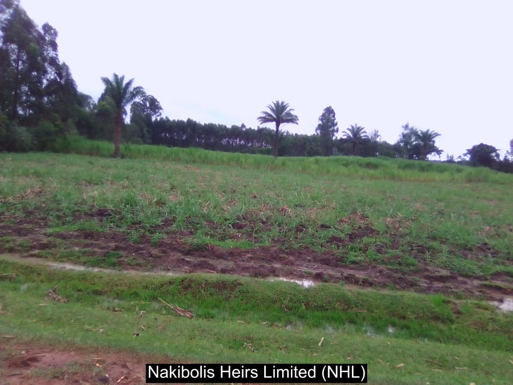 Land for sale in Webuye west