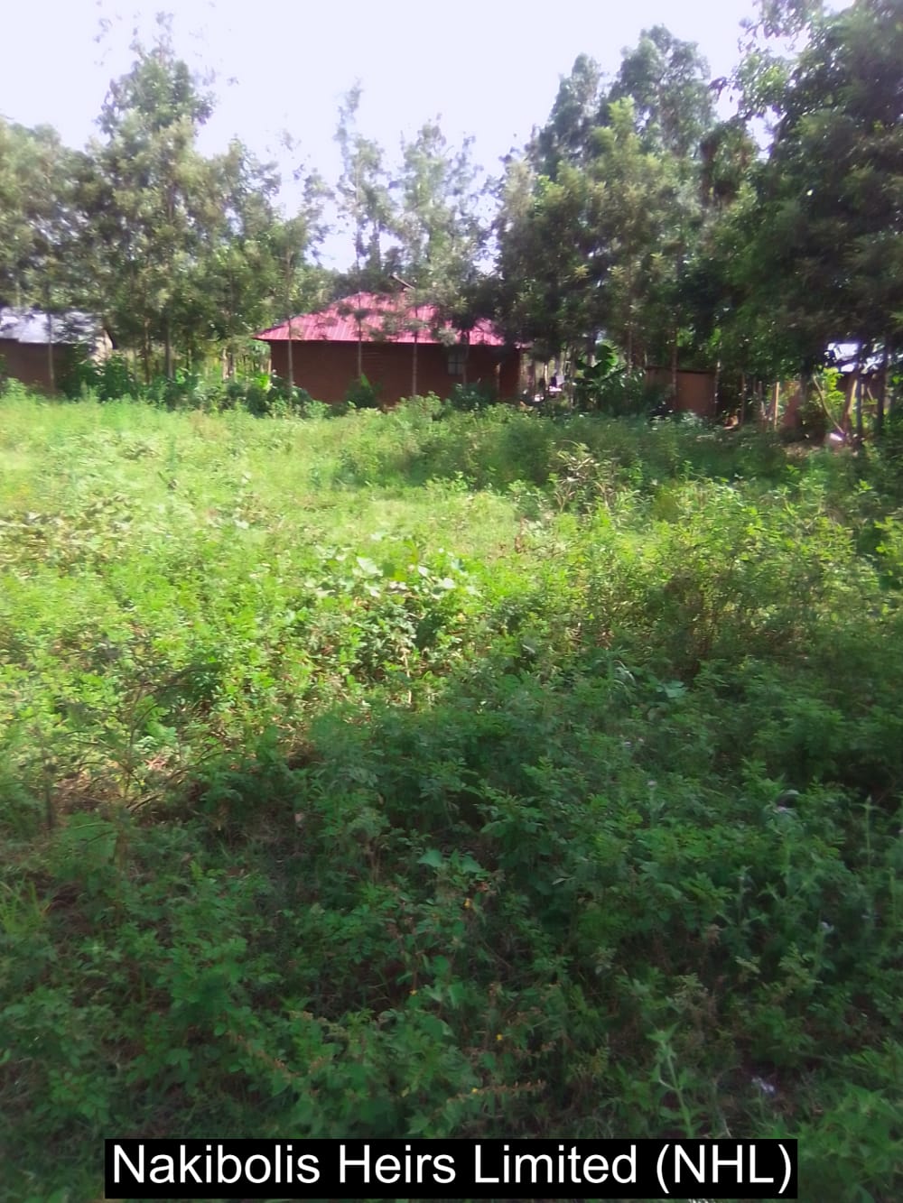 Land for sale in Webuye west