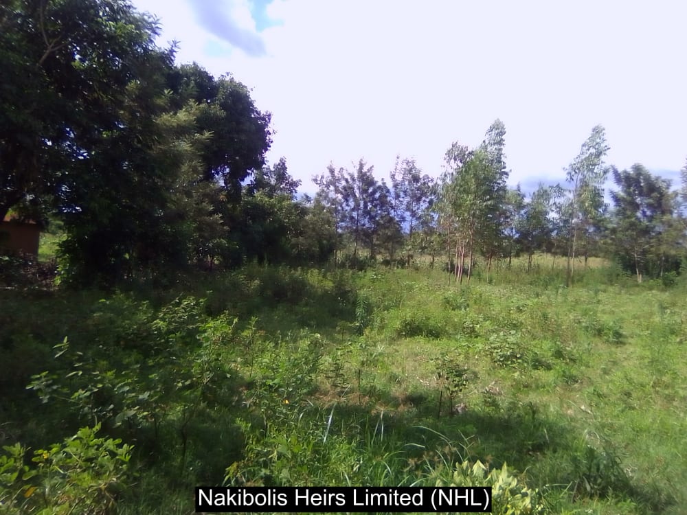 Land for sale in Webuye west