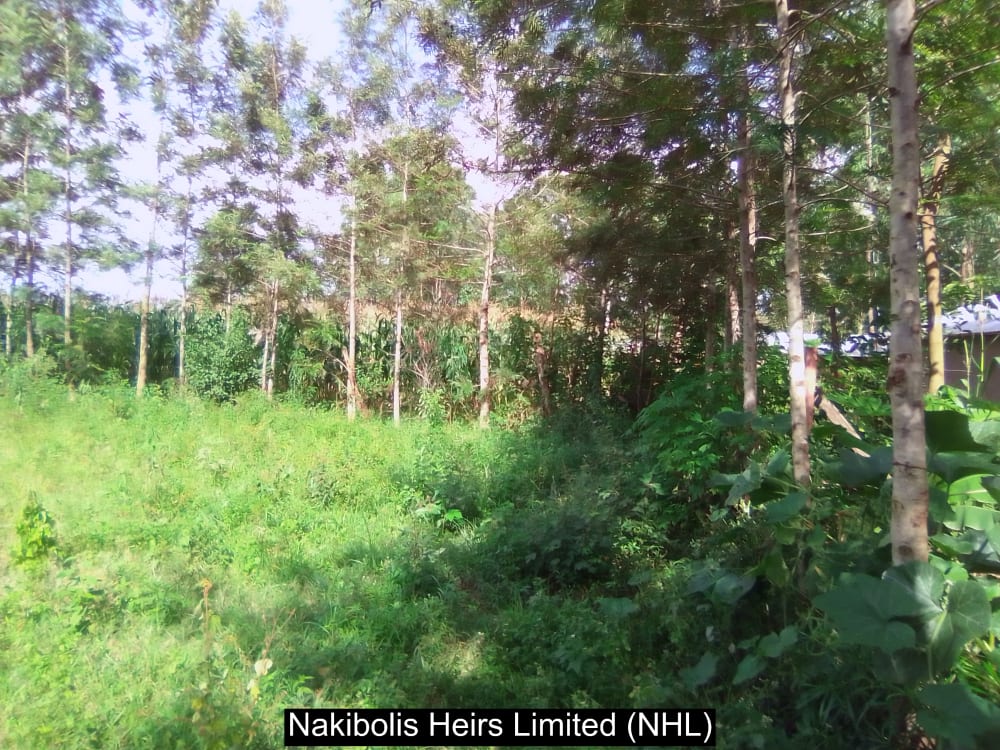 Land for sale in Webuye west