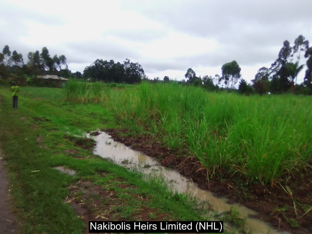 Land for sale in Webuye west