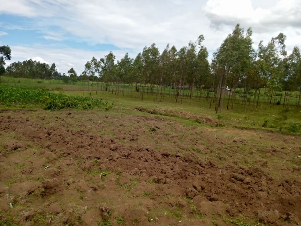 Land for rent in Muji, Webuye East