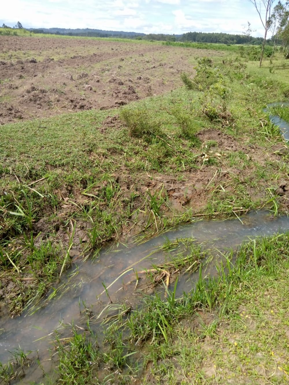 Land for rent in Muji, Webuye East