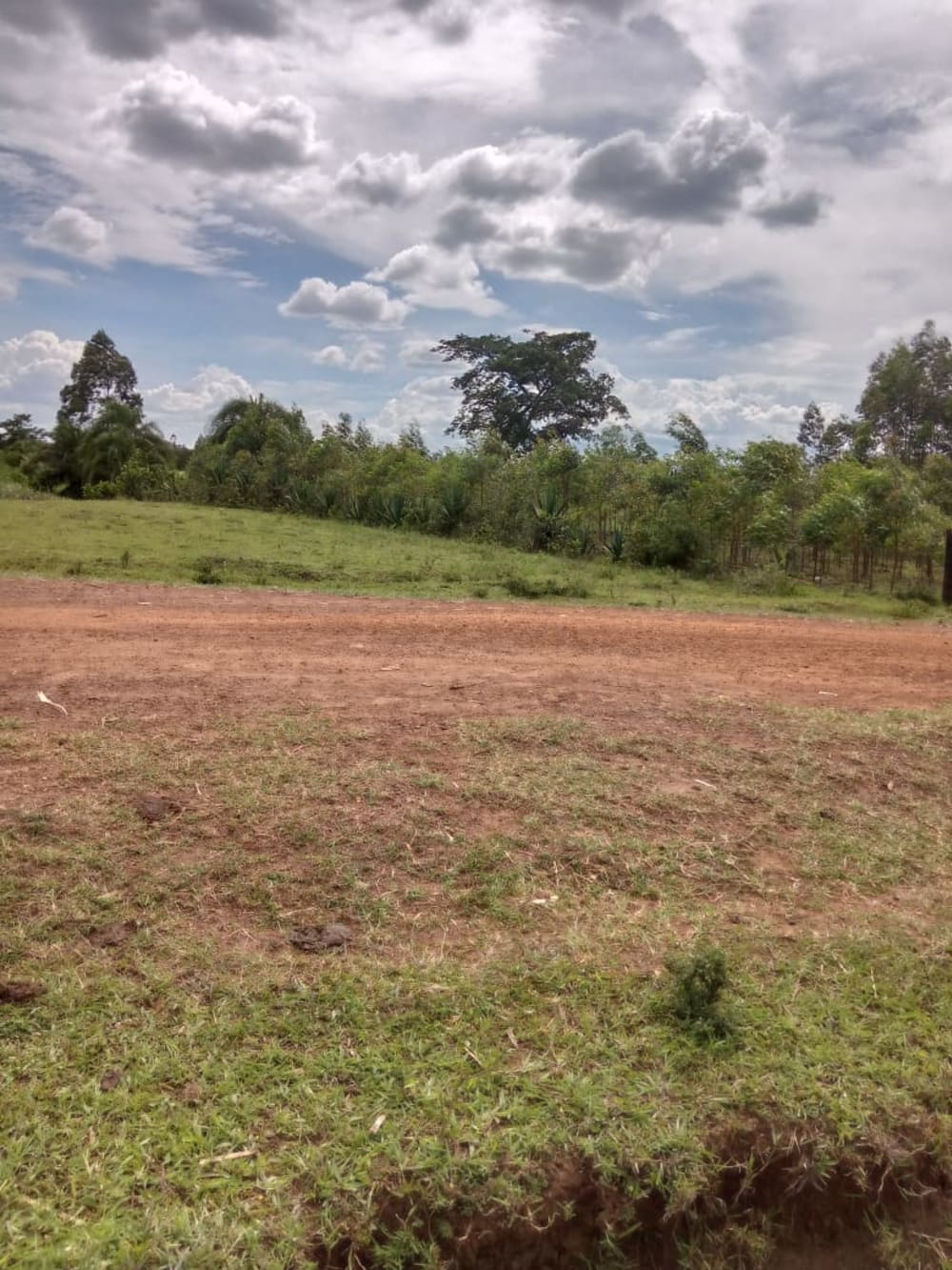 Land for rent in Muji, Webuye East