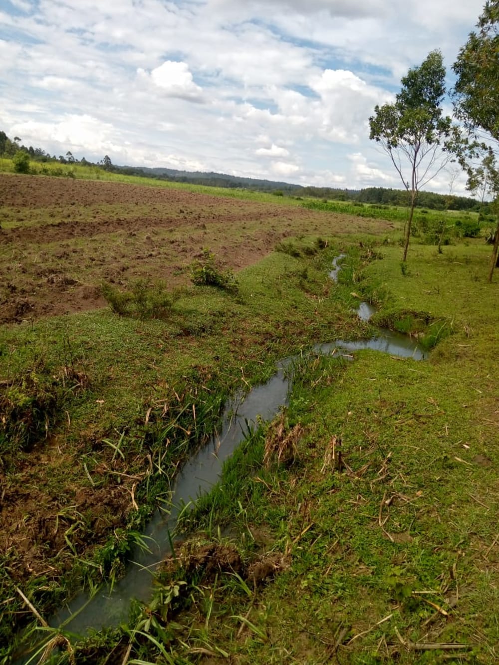 Land for rent in Muji, Webuye East