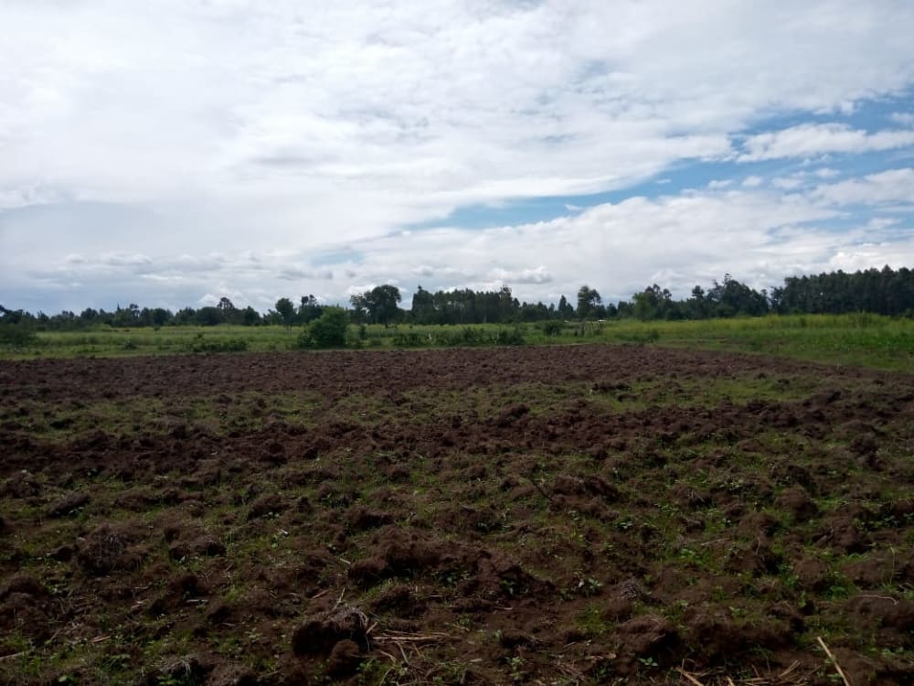 Land for rent in Muji, Webuye East