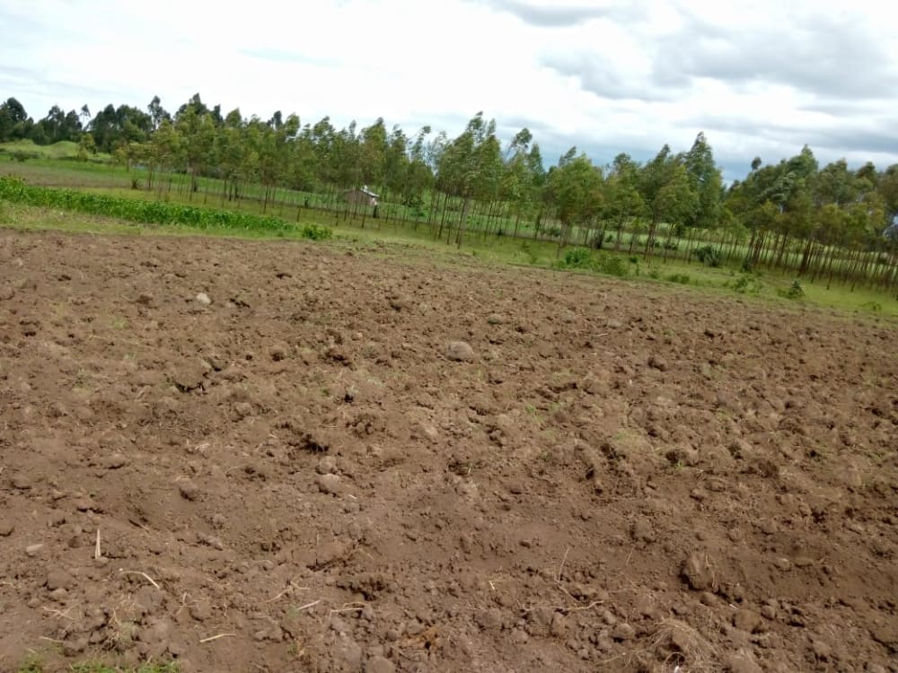 Land for rent in Muji, Webuye East